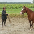 2012-06 Identification Mirabelle 088