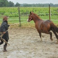 2012-06 Identification Mirabelle 091
