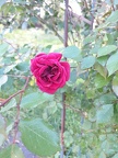IMG 20260405 102057