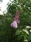 IMG 20260405 102007
