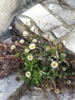 IMG 20260405 101953