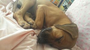 20151208 101412 resized.jpg