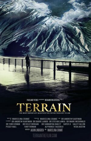 Affiche du film Terrain