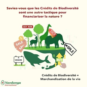 Biodiversity Credits fr.pdf