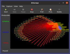 Exemple d'image générée par EtherApe en moins d'une d'une seconde pendant une attaque par DDOS