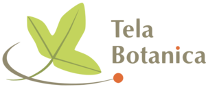 Logo telabotanica.png